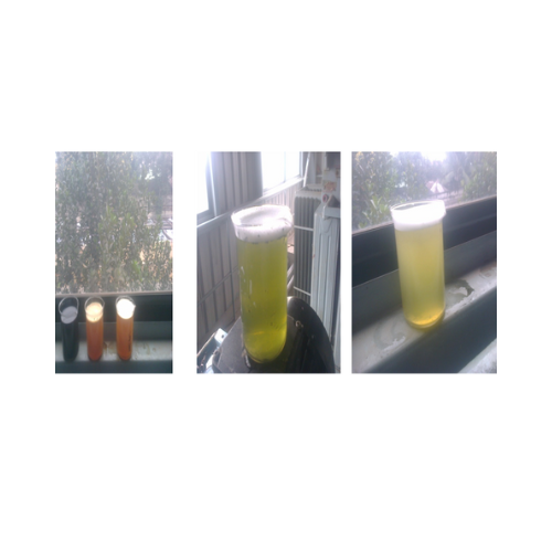 CS & Titanium Gladding Lid